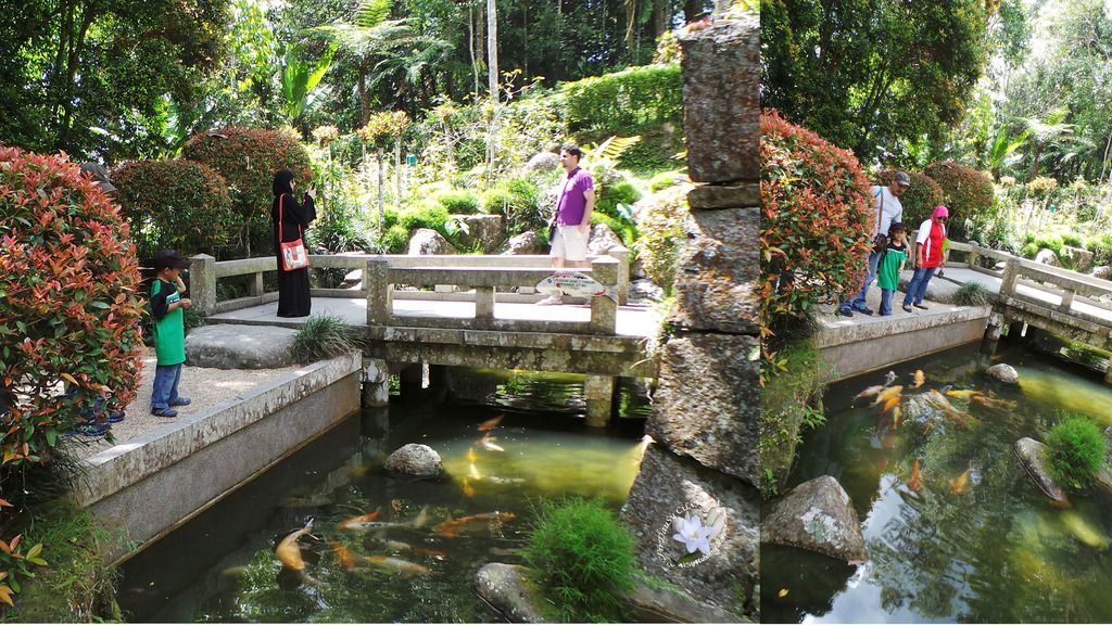 Japanese Village & Botanical Garden, Bukit Tinggi, Pahang. | FirDauSy